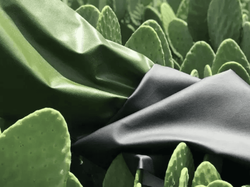 Cactus Leather