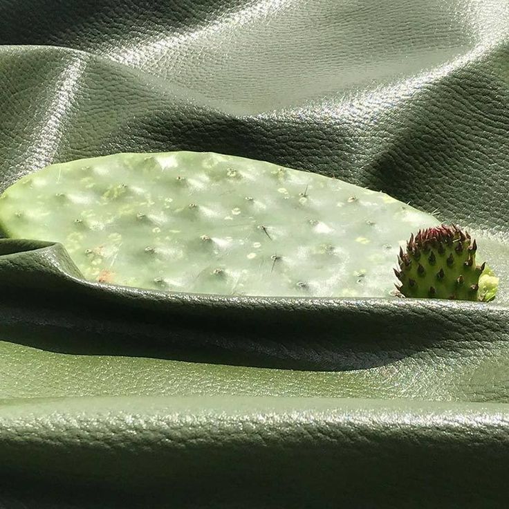 Eco-Leather – Sustainable & Brand-Conscious