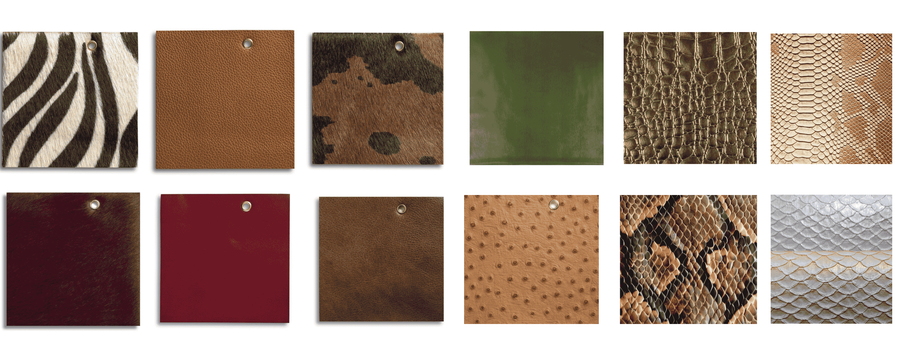 Material Customization